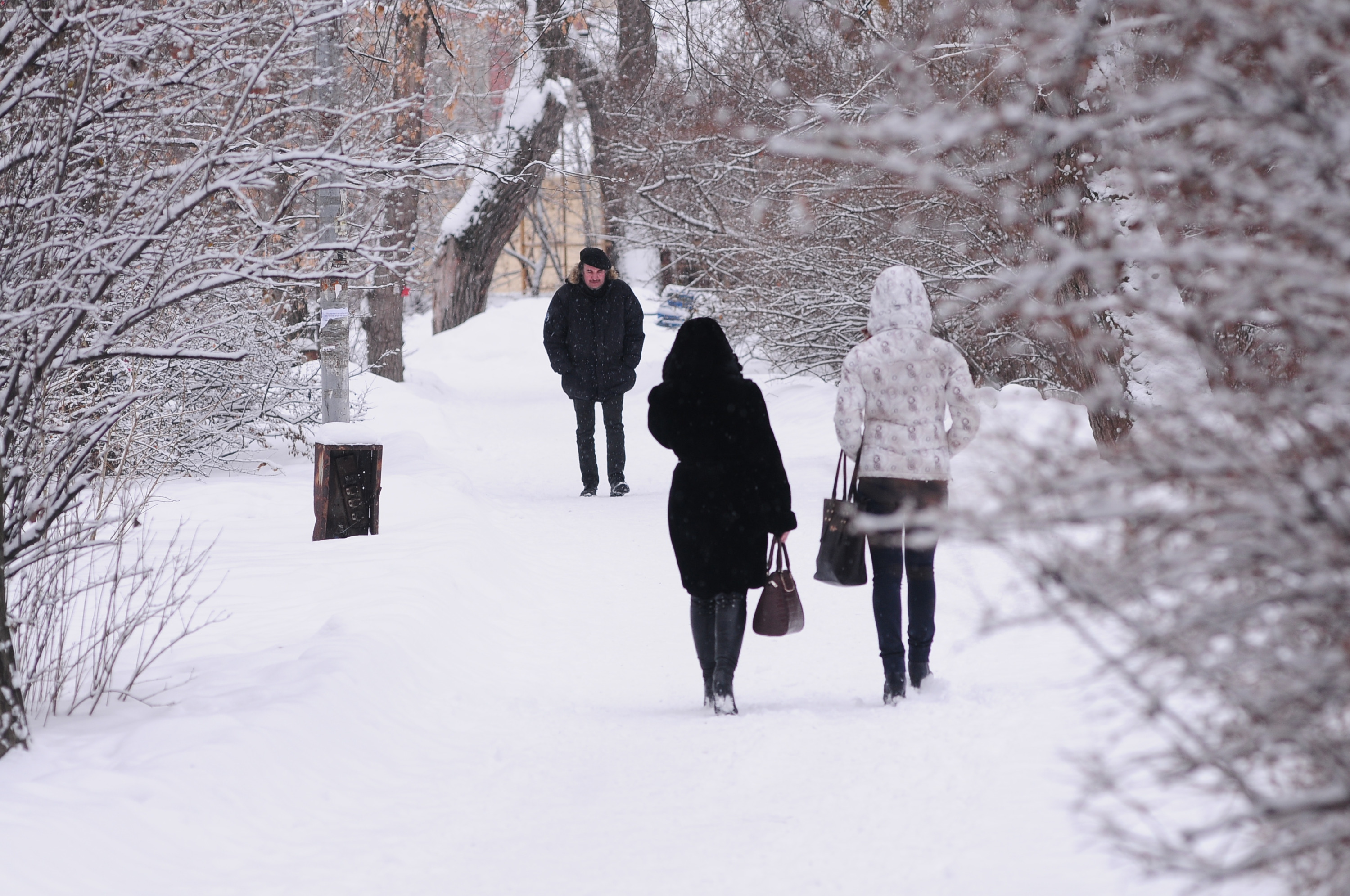 За сутки в Екатеринбурге температура воздуха поднимется на 20 °C. Врач рассказала, как это пережить