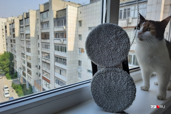Удивительное рядом: теперь необязательно для мойки окон использовать тряпки и специальные средства. Можно взять в аренду (либо купить) специальную технику Удивительное рядом: теперь необязательно для мойки окон использовать тряпки и специальные средства. Можно взять в аренду (либо купить) специальную технику