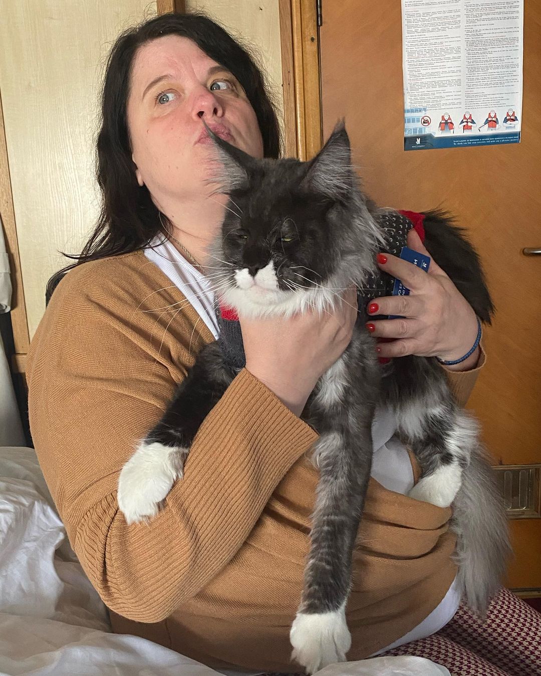 Елена с любимцем Лизы котом Тимошей Елена с любимцем Лизы котом Тимошей