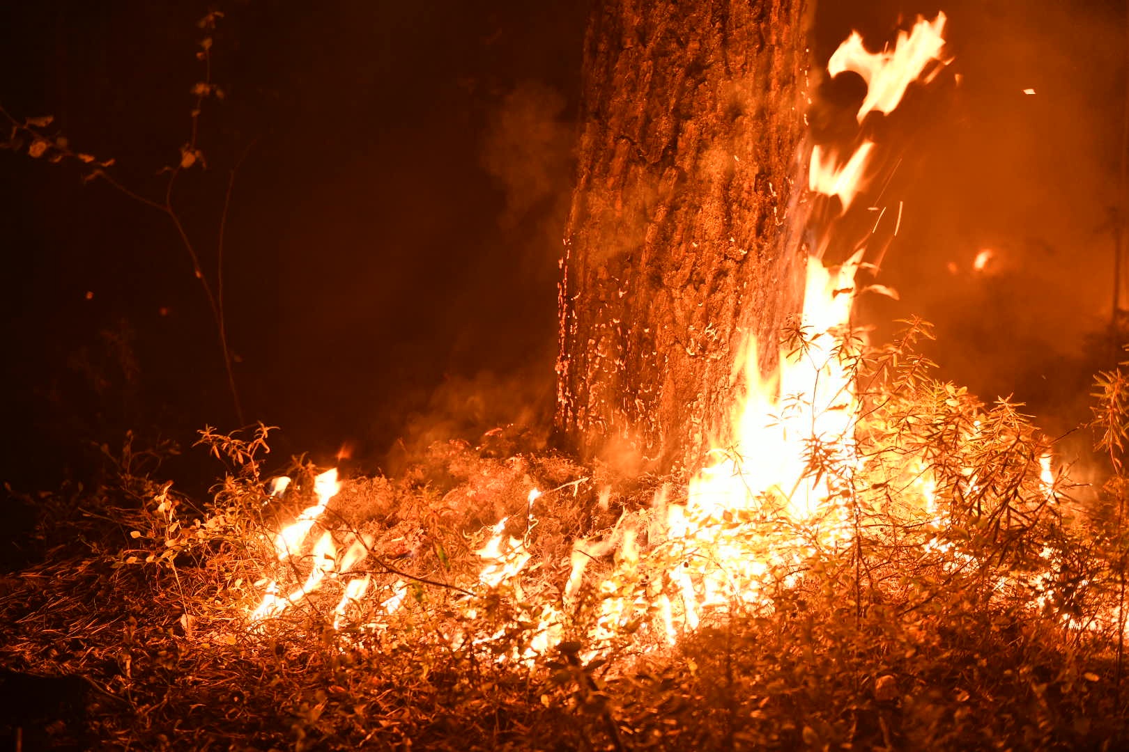 Под Екатеринбургом горит лес: огненный фоторепортаж из сердца пожара
