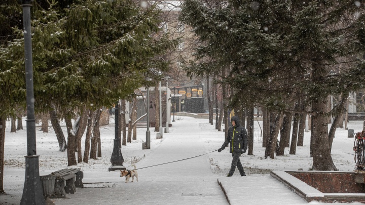 Новосибирск ждут первые в этом сезоне морозы до -19 градусов