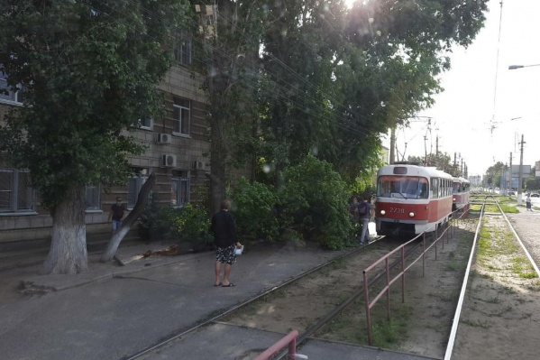 По словам очевидцев, движение транспорта запустили спустя <nobr class="_">20 минут</nobr> после инцидента По словам очевидцев, движение транспорта запустили спустя <nobr class="_">20 минут</nobr> после инцидента