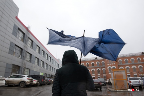 Судя по прогнозам, завтра в Ярославле будет ветрено и дождливо Судя по прогнозам, завтра в Ярославле будет ветрено и дождливо