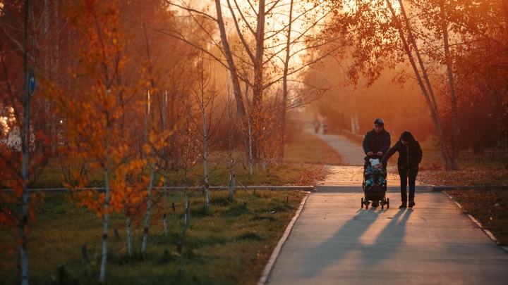 Бабье лето в Кемерове: наслаждаемся 20 ламповыми снимками осени
