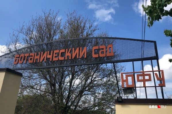 В саду также прорабатывают вопрос о том, как обеспечить проход к роднику в Крещение В саду также прорабатывают вопрос о том, как обеспечить проход к роднику в Крещение