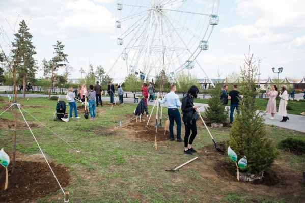 Сегодня волгоградцев привлекли к работам Сегодня волгоградцев привлекли к работам