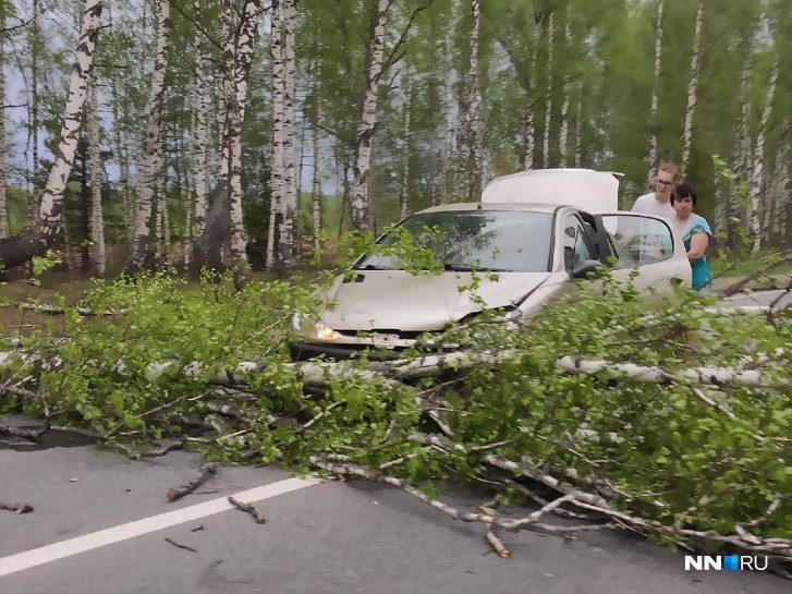 Из-за урагана почти 14 тысяч домов в Нижегородской области остались без электричества
