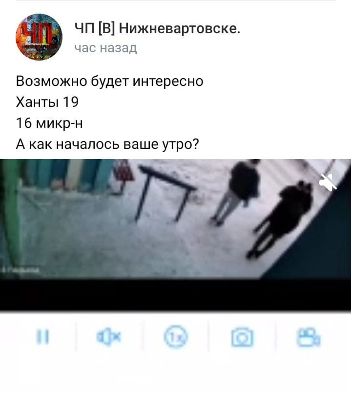 Владелец видеозаписи пишет, что она снята на <nobr class="_">Ханты-Мансийской,19</nobr> Владелец видеозаписи пишет, что она снята на <nobr class="_">Ханты-Мансийской,19</nobr>