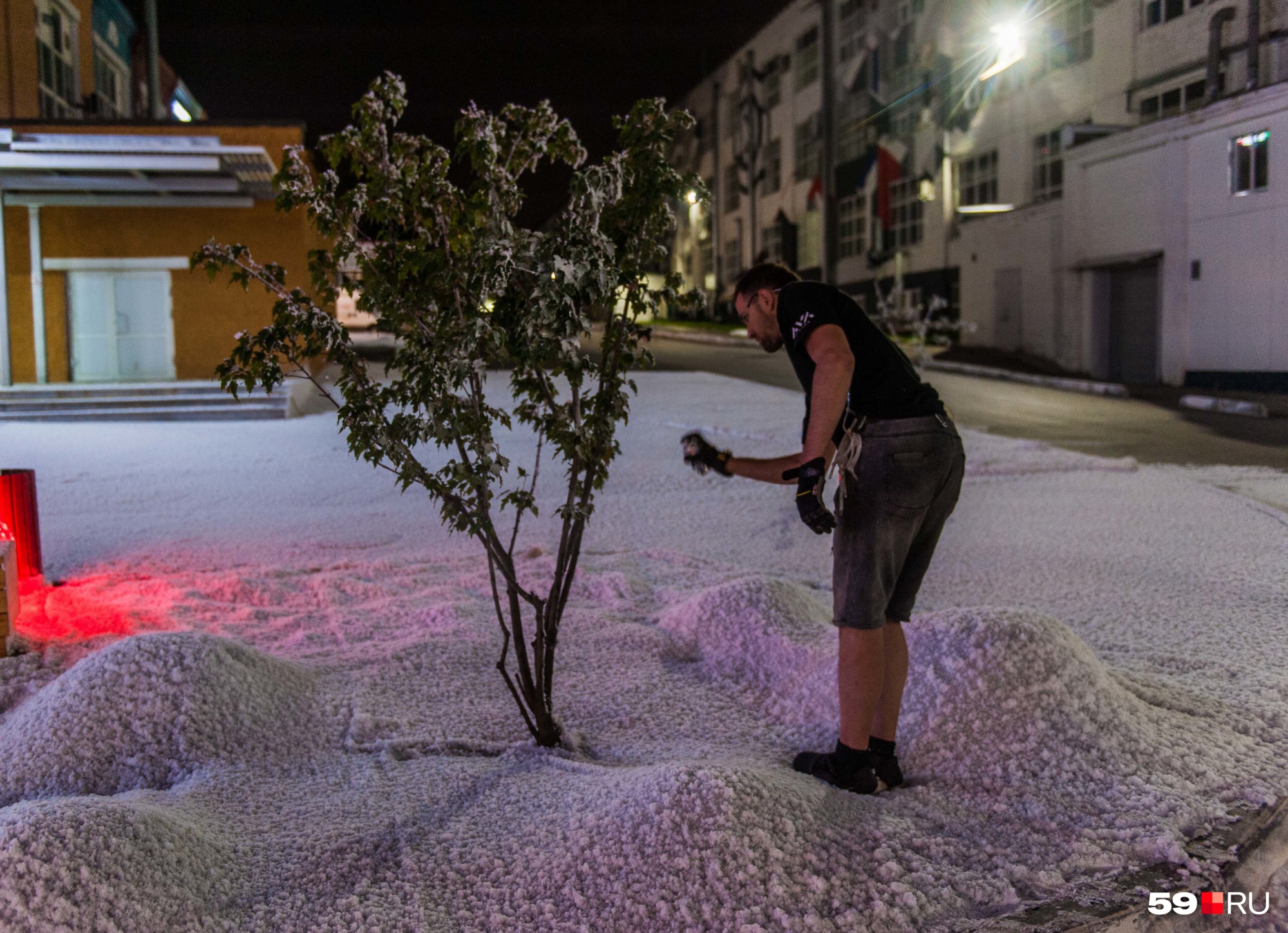 Деревья тоже покрыли искусственным снежком из баллончиков...
