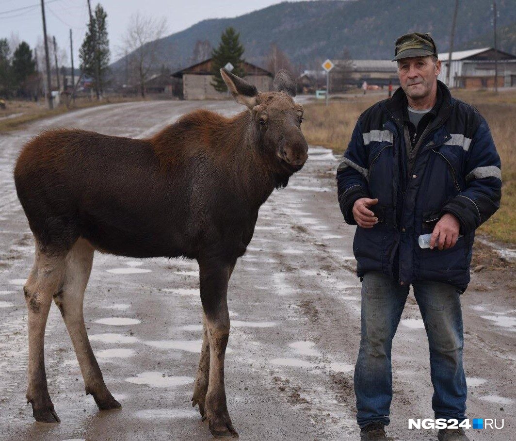 Май был совсем домашним Май был совсем домашним
