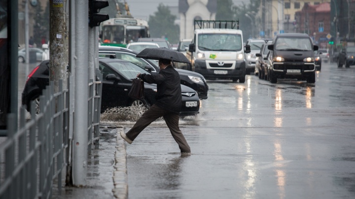 В Новосибирск идут дожди с сильным ветром. Сколько продлится непогода?