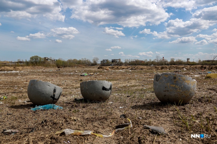 Замусоренность Артёмовских лугов приобретает масштаб экологической катастрофы