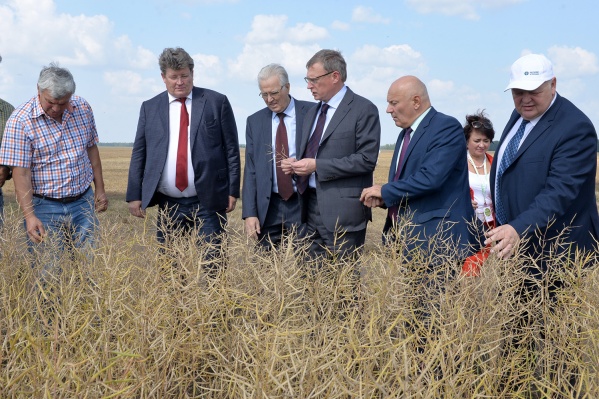 Компания «Зерно Сибири» была образована в сентябре 2019 года Компания «Зерно Сибири» была образована в сентябре 2019 года