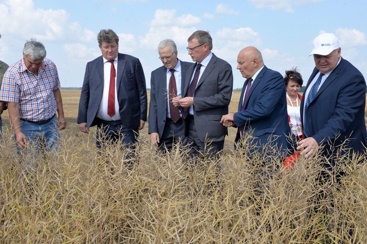 Компания «Зерно Сибири» была образована в сентябре 2019 года