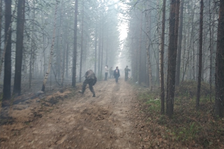 Леса ХМАО в 2020 году тушили <nobr class="_">добровольцы —</nobr> потому что другого выхода не было, огонь угрожал городам
