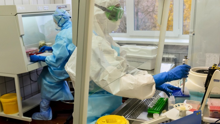 147 случаев заражения коронавирусом зафиксировано в Югре за сутки