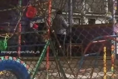 Инцидент произошел во время дневной прогулки в детском <nobr class="_">саду № 278</nobr> Инцидент произошел во время дневной прогулки в детском <nobr class="_">саду № 278</nobr>