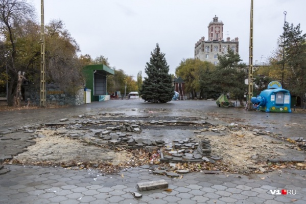 С огорода начнется масштабное преображение Комсомольского сада С огорода начнется масштабное преображение Комсомольского сада