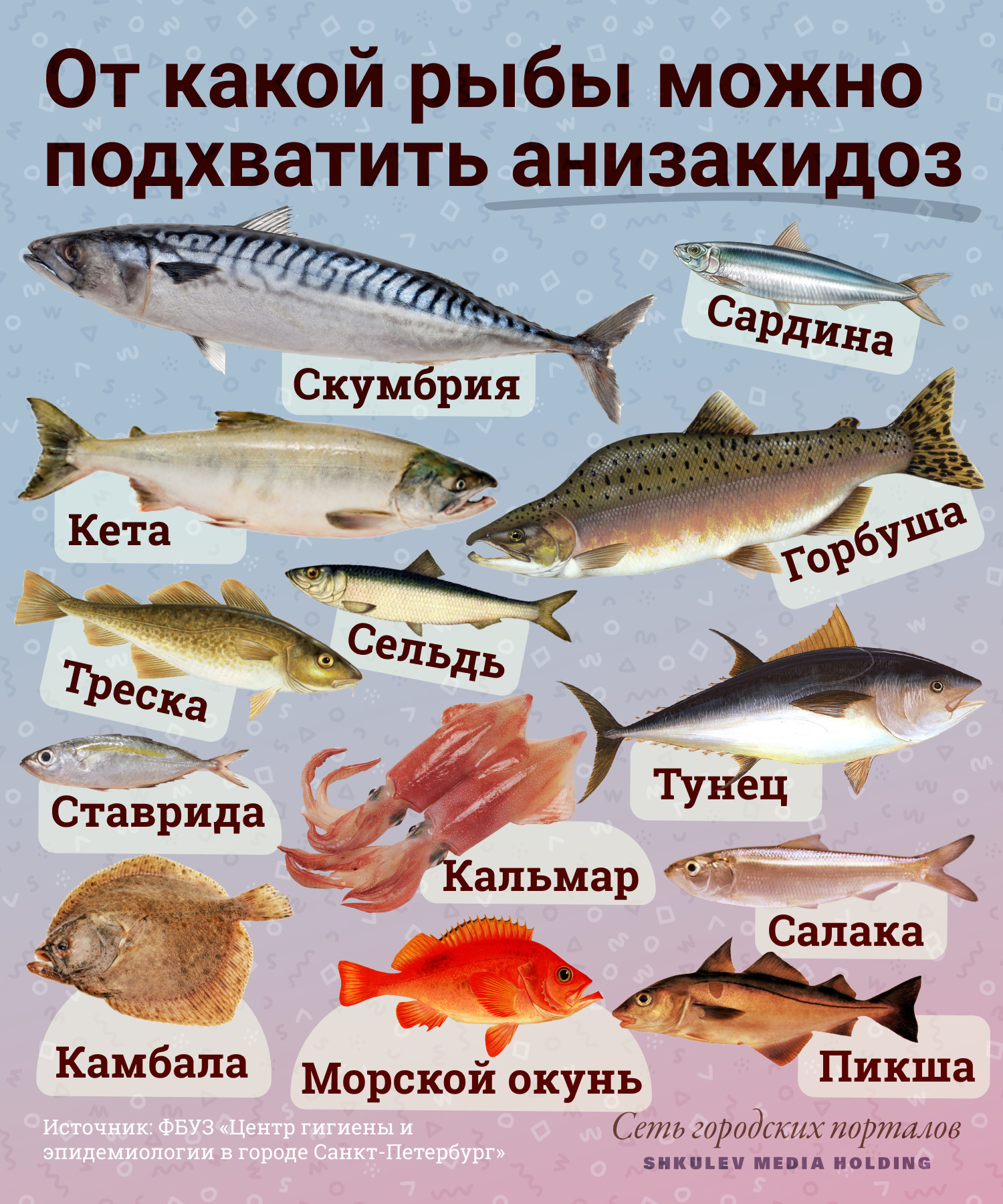 Анизакидоз встречается в морской рыбе и моллюсках Анизакидоз встречается в морской рыбе и моллюсках