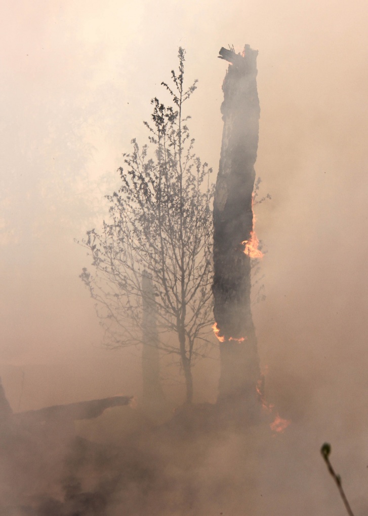 Пожар в районе с. Мизоново, Ишимский район Пожар в районе с. Мизоново, Ишимский район 