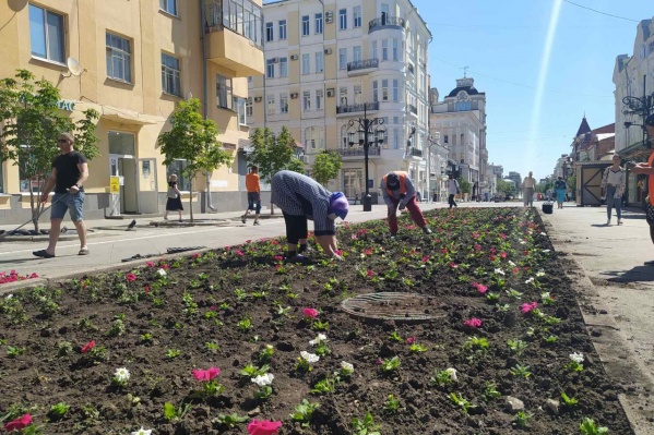 Клумбы создают заново Клумбы создают заново