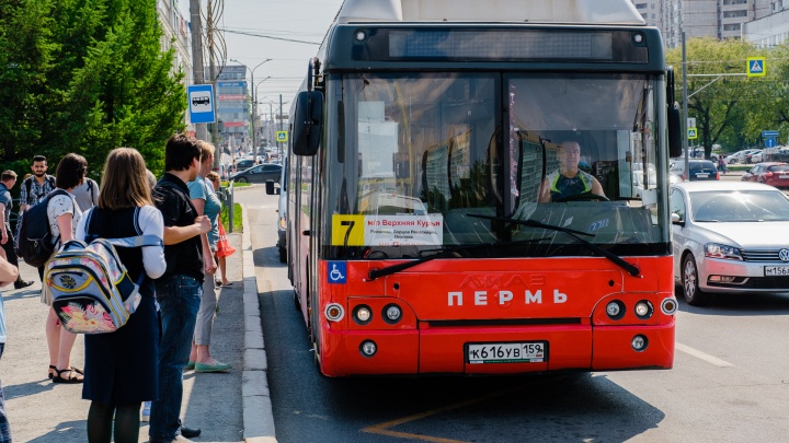 Что изменилось спустя год после транспортной реформы в Перми? Большой разбор