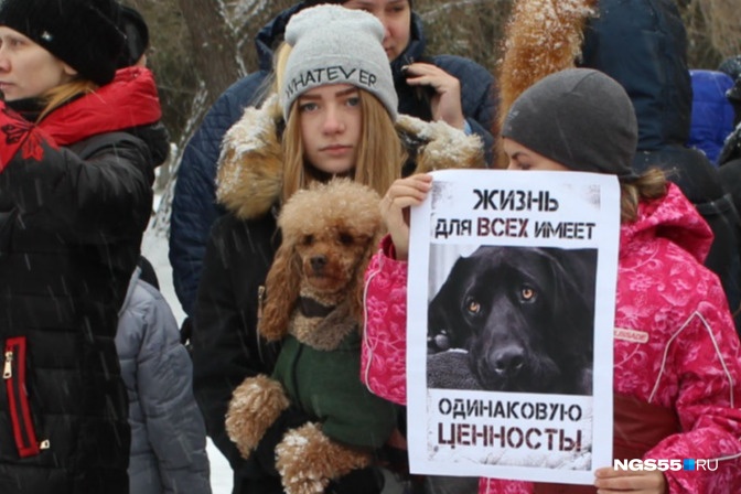 На пикетах омичи требовали ужесточить статью о жестоком обращении с животными На пикетах омичи требовали ужесточить статью о жестоком обращении с животными 