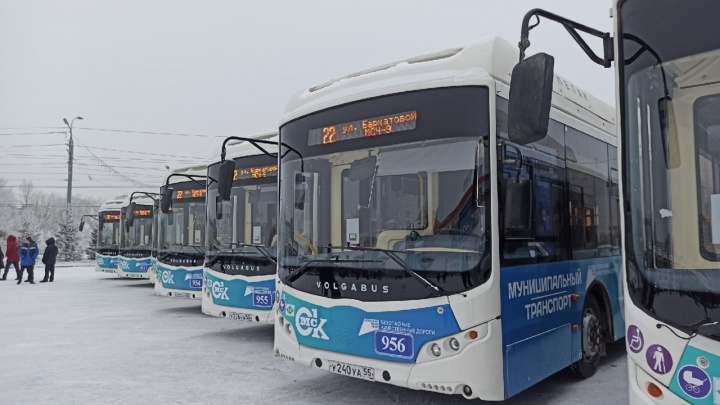 В Омске презентуют новые большие метановые автобусы. Показываем их в нашей трансляции