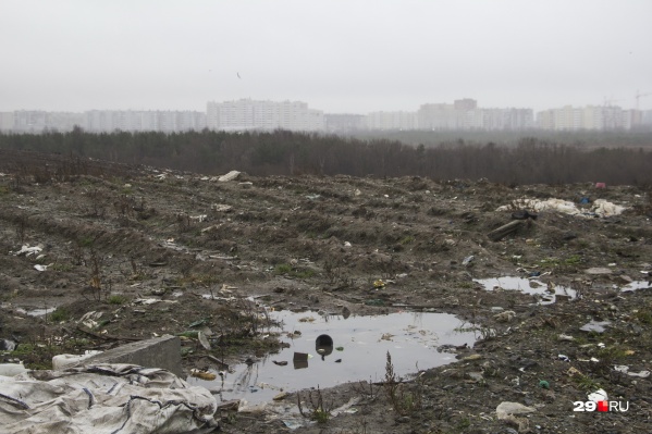 Время от времени на городских свалках случаются пожары Время от времени на городских свалках случаются пожары