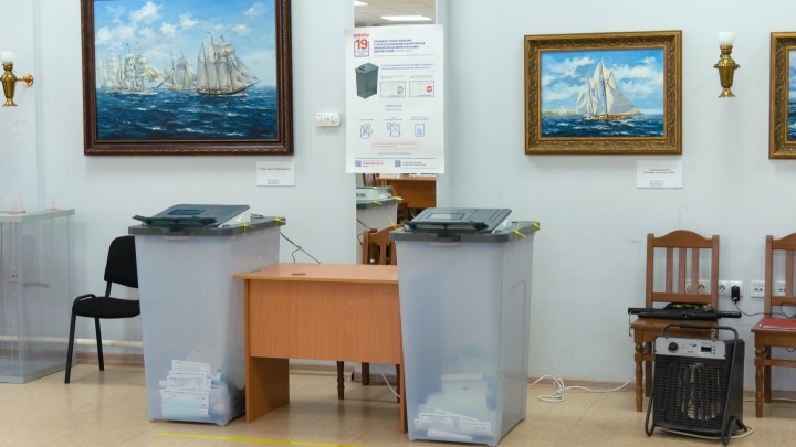 За покупкой голосов в пользу Ирины Чирковой может стоять помощница депутата