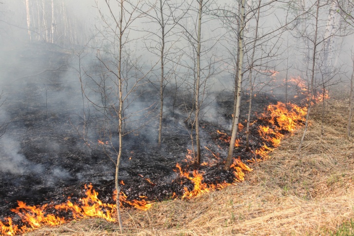 Ситуация остается напряженной. Усугубляет ее аномальная для мая жара Ситуация остается напряженной. Усугубляет ее аномальная для мая жара 