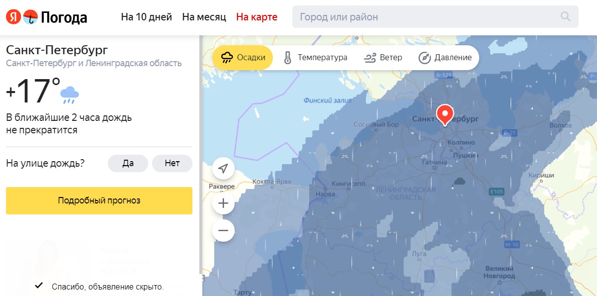 Синоптики обещают Петербургу месячную норму осадков