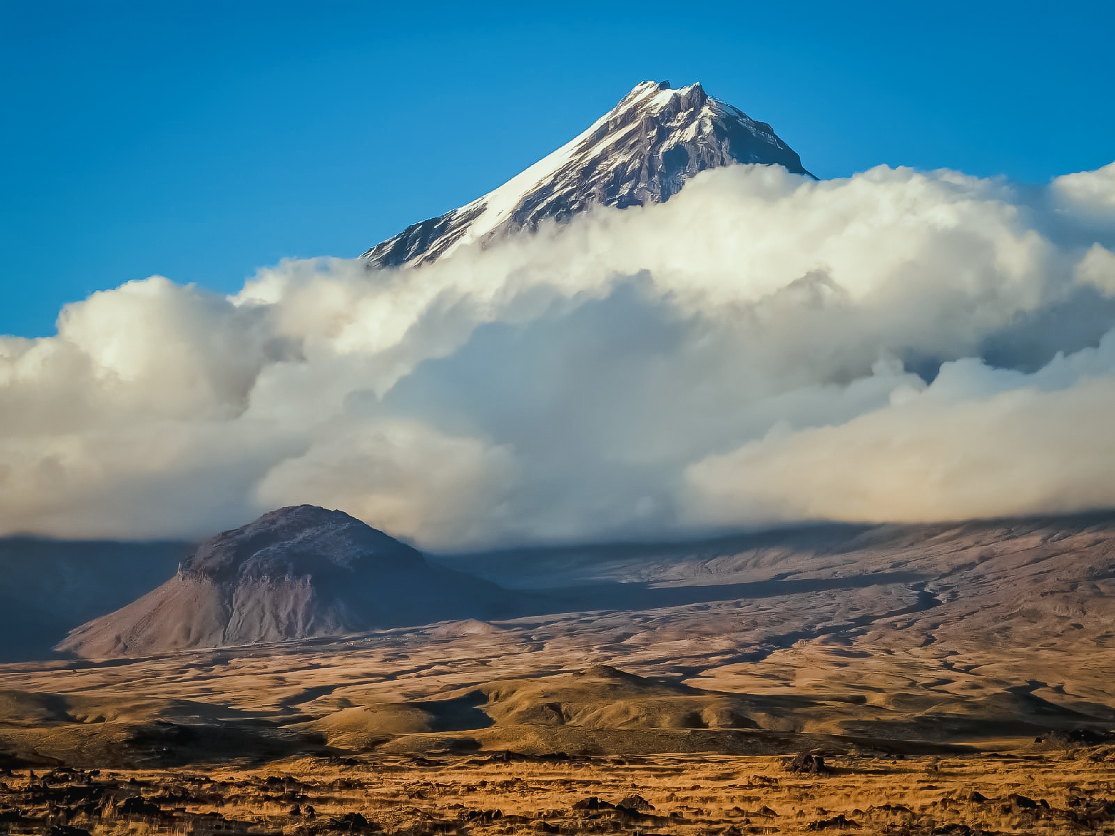 Знаменитый вулкан Толбачик в последний раз извергался в ноябре 2012 года, после 36 лет бездействия