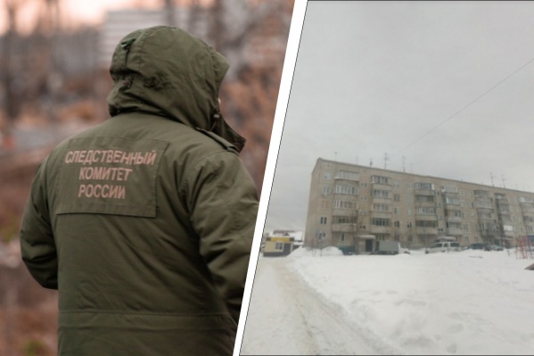 Отчим признался в преступлении, а мать ребенка свою вину отрицает Отчим признался в преступлении, а мать ребенка свою вину отрицает