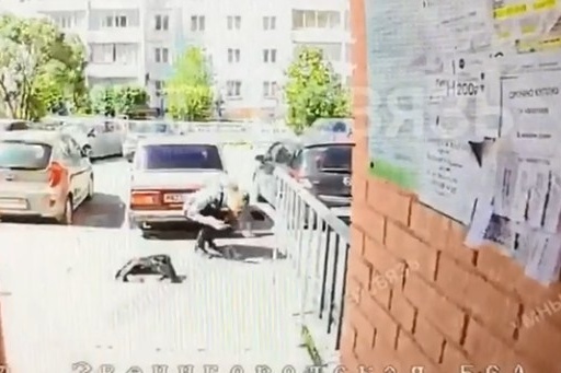 Курьера ударили в лицо, а затем поставили подножку, и он рухнул на землю Курьера ударили в лицо, а затем поставили подножку, и он рухнул на землю