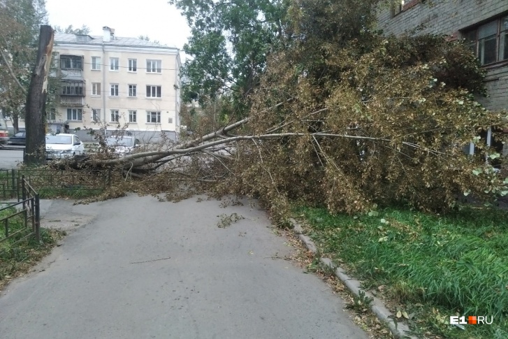 Еще утром об урагане никто не догадывался Еще утром об урагане никто не догадывался