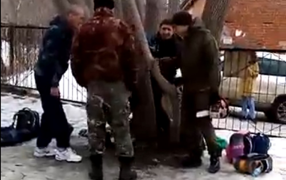 В Екатеринбурге подрядчики управляющей компании спилили дерево, чтобы вытащить застрявшего школьника