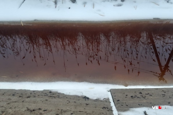 Чиновники вновь не смогли найти кроваво-красную воду в оросительном канале Чиновники вновь не смогли найти кроваво-красную воду в оросительном канале