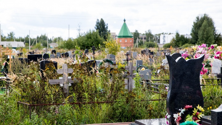 Массовые увольнения в структурах мэрии: в Ярославле ушел с поста главный по кладбищам