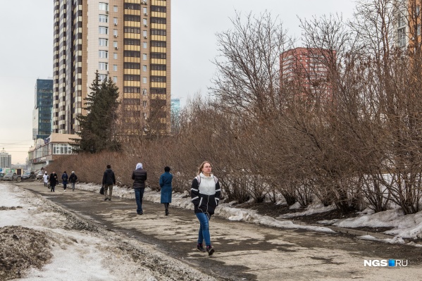 В ближайшее время в городе похолодает В ближайшее время в городе похолодает