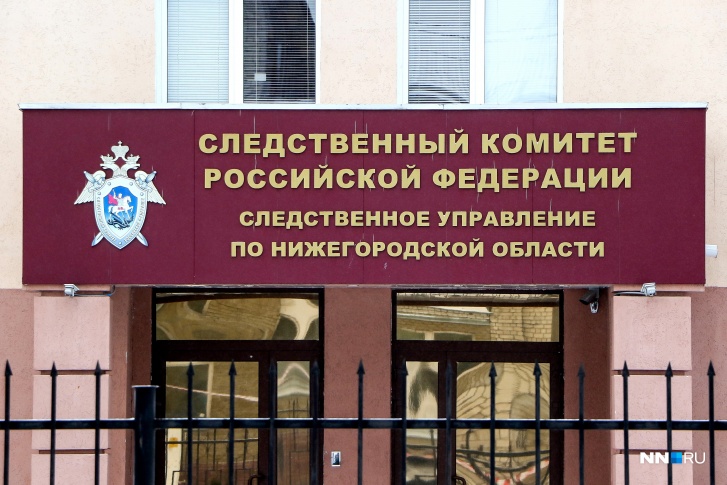 Социально активной нижегородке грозит до 8 лет лишения свободы Социально активной нижегородке грозит до 8 лет лишения свободы