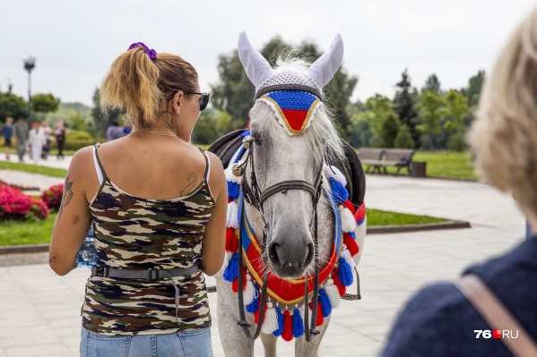 На лошадях можно кататься только в установленных местах На лошадях можно кататься только в установленных местах