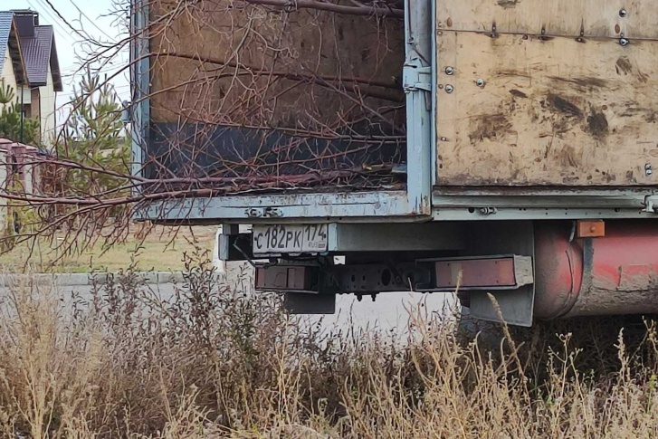 Деревья вывозили на глазах жителей поселка Деревья вывозили на глазах жителей поселка