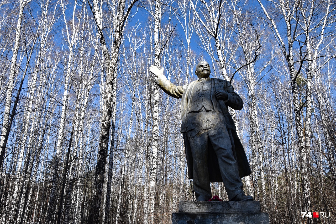 Одинокий Ленин призывает березы бороться за свои права
