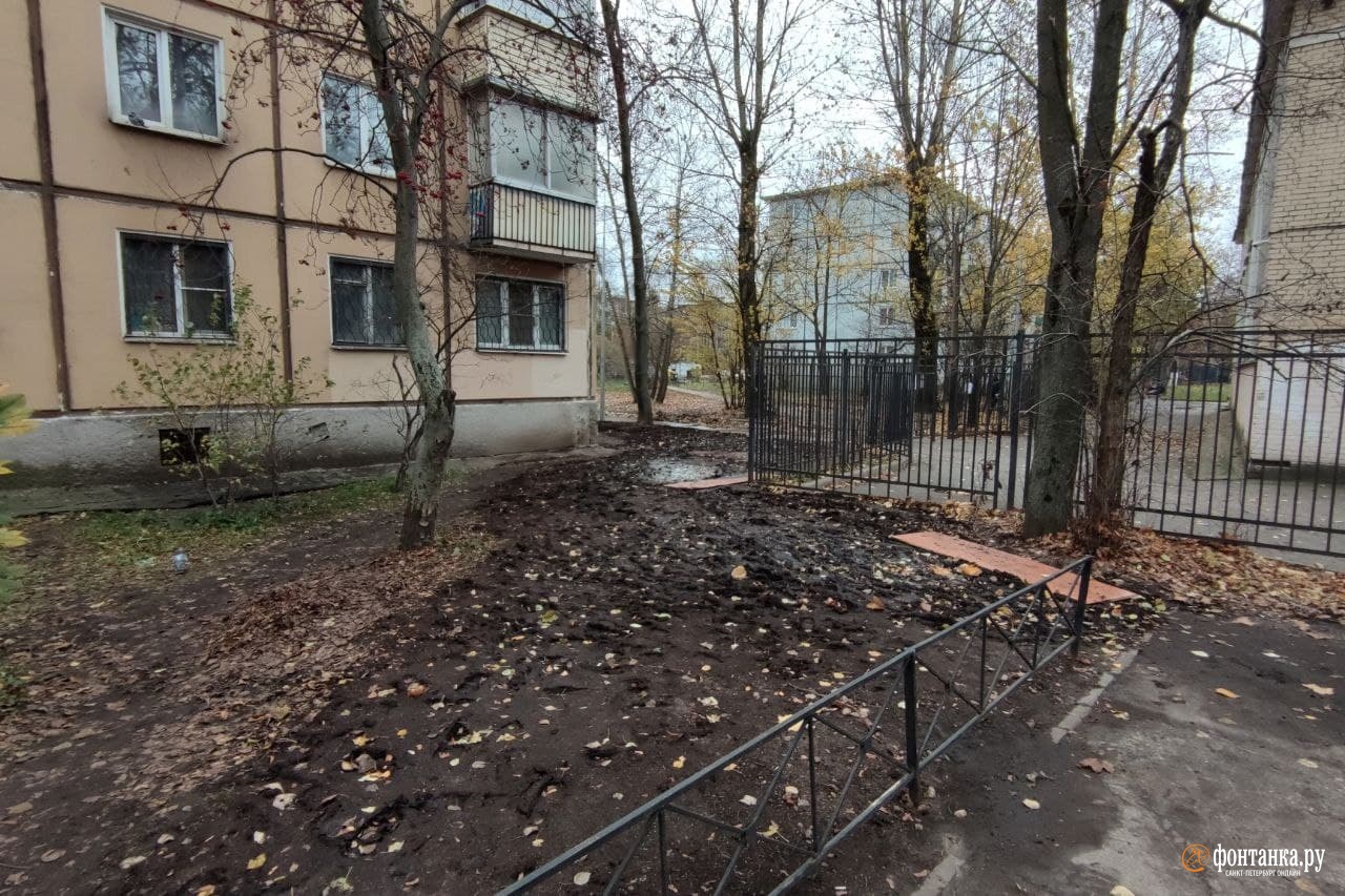 автор фото Павел Каравашкин/«Фонтанка.ру»