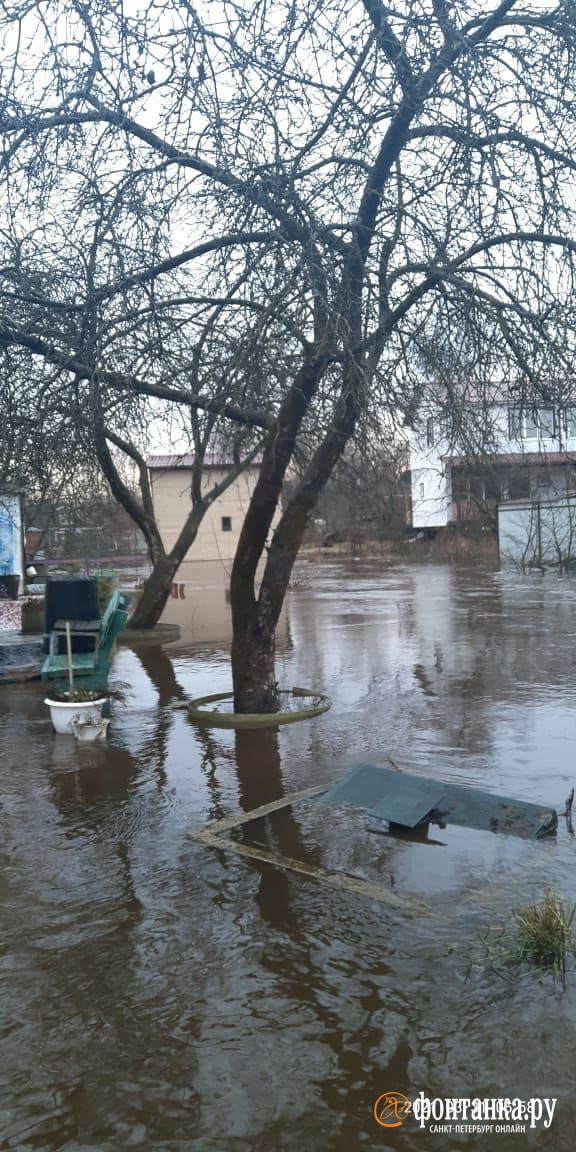 В Красногвардейском районе Петербурга затопленное садоводство эвакуировали на лодках. Участки регулярно заливает по весне