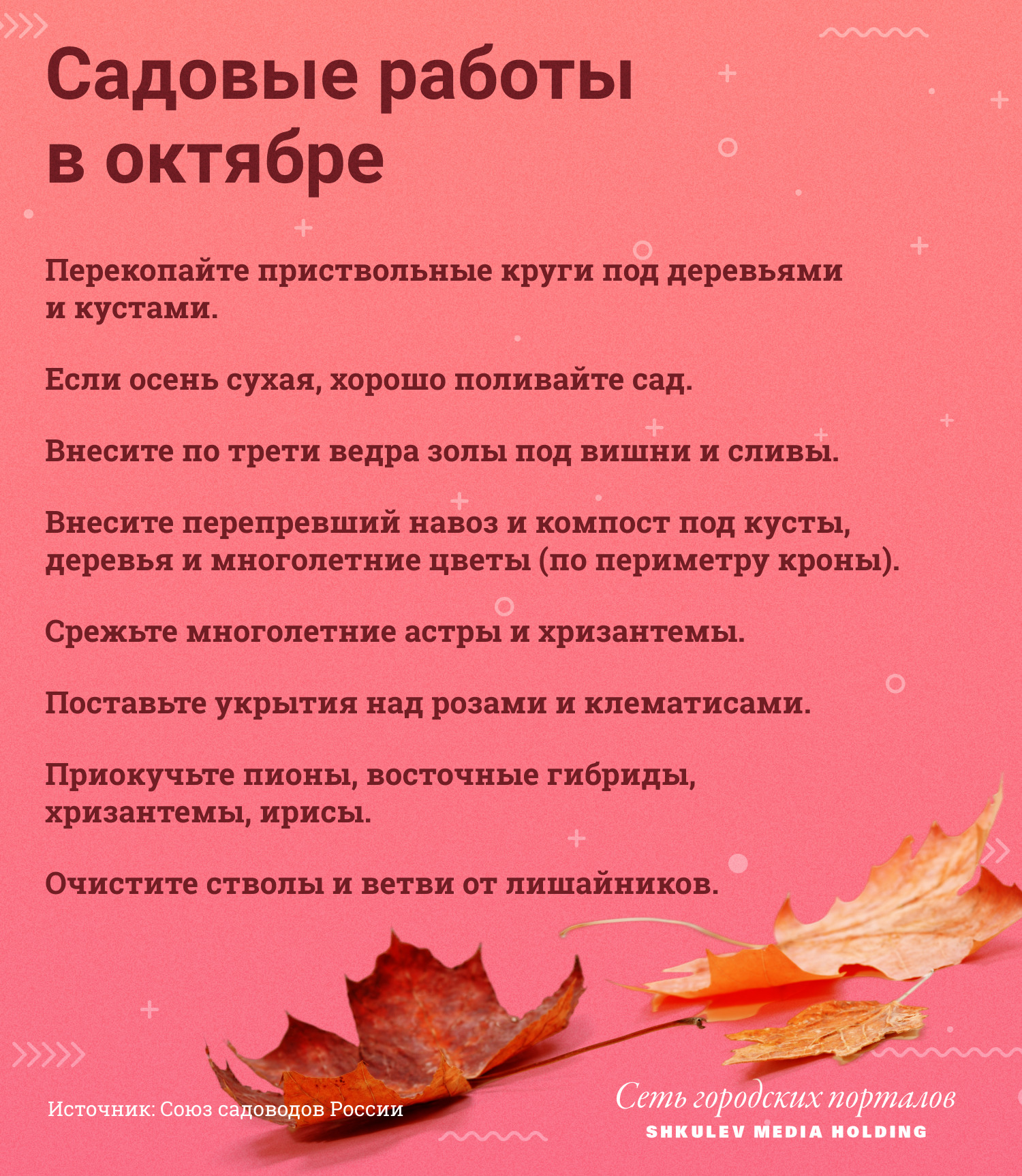Сезонные садовые работы в октябре