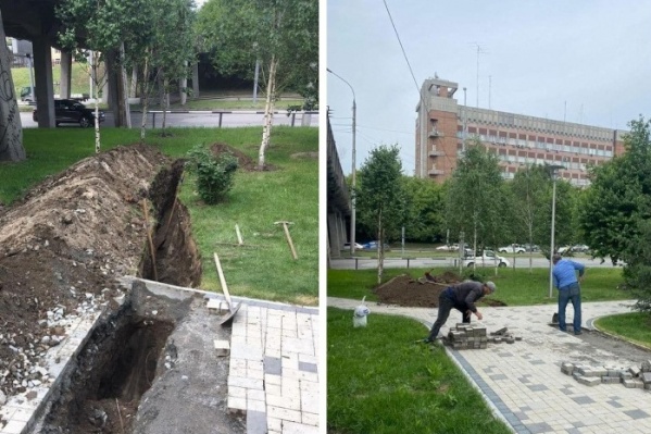 Вырубать деревья начали 24 июня Вырубать деревья начали 24 июня
