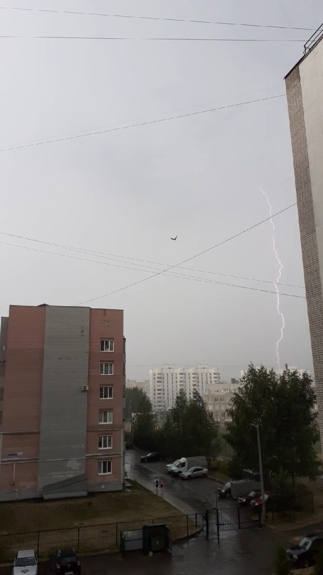 Долгожданный дождь Долгожданный дождь