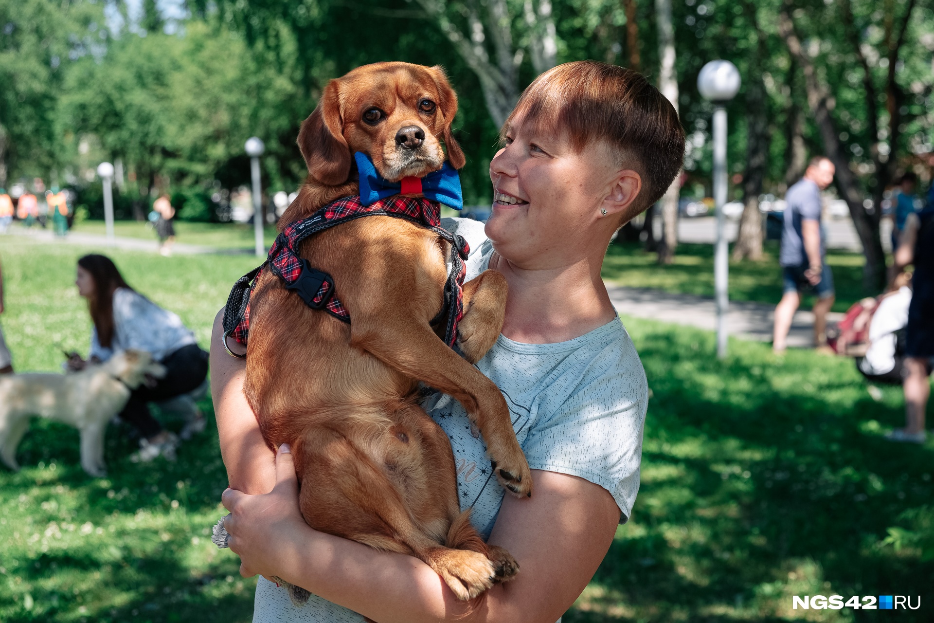 Власти Новокузнецка запретили выгул собак на детских площадках и в парках. Рассказываем, где можно